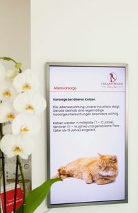 Wartezimmer-Info-Screen-Tierarztpraxis-Opp